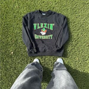 Vlexin University Sweater